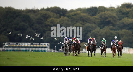 Guide e piloti in azione durante il wainwrights flying childers stakes durante il giorno tre del William hill st. leger festival a Doncaster Racecourse. Foto Stock