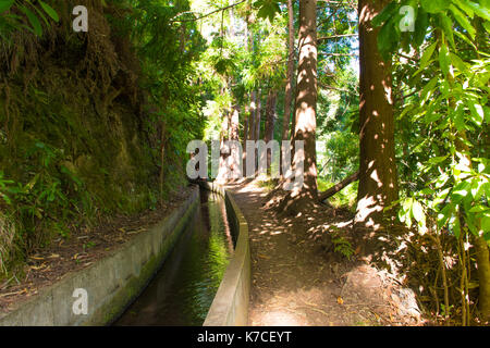 Una bella camminata di levada in soa vincente, madera. Gli splendidi paesaggi e natura paesaggio è irreale. Foto Stock