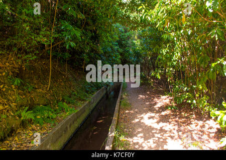 Una bella camminata di levada in soa vincente, madera. Gli splendidi paesaggi e natura paesaggio è irreale. Foto Stock