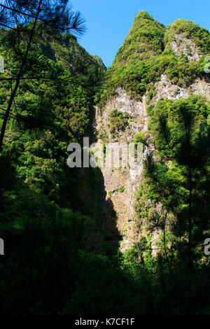 Una bella camminata di levada in soa vincente, madera. Gli splendidi paesaggi e natura paesaggio è irreale. Foto Stock