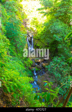 Una bella camminata di levada in soa vincente, madera. Gli splendidi paesaggi e natura paesaggio è irreale. Foto Stock