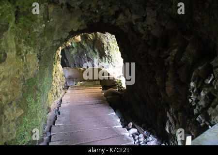 Una bella camminata di levada in soa vincente, madera. Gli splendidi paesaggi e natura paesaggio è irreale. Foto Stock