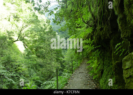 Una bella camminata di levada in soa vincente, madera. Gli splendidi paesaggi e natura paesaggio è irreale. Foto Stock