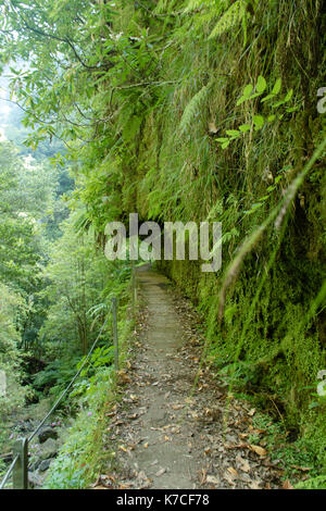 Una bella camminata di levada in soa vincente, madera. Gli splendidi paesaggi e natura paesaggio è irreale. Foto Stock