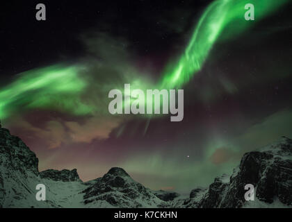 Aurora boreale, le luci del nord oltre tromsoe in Norvegia settentrionale. verde luce forte e un fantastico spettacolo durante la notte. Foto Stock