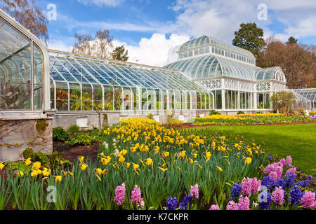 Seattle conservatorio di fiori in piena fioritura. parco dei volontari Foto Stock