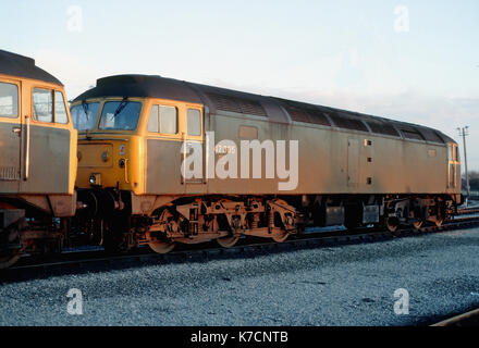 Classe 47 locomotore stabulati fuori eastleigh depot in Inghilterra Foto Stock