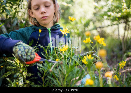 Ragazzo serio la potatura di fiori nel giardino Foto Stock