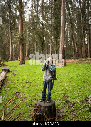 Ragazzo di fotografare con la fotocamera mentre si sta in piedi sul ceppo di albero nella foresta a Tilden Parco Regionale Foto Stock