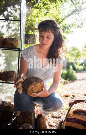 Donna analizzando i funghi su roccia mentre accovacciato presso l'azienda Foto Stock