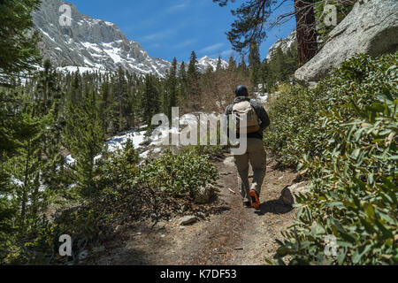 Vista posteriore di un escursionista con zaino camminando sulla strada sterrata da piante Foto Stock