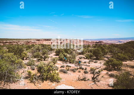 Angolo di Alta Vista del giovane di andare in bicicletta in mezzo di alberi sul paesaggio contro il cielo blu Foto Stock