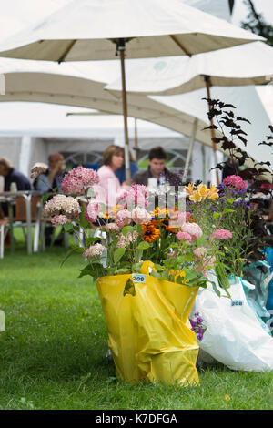 Acquistate i fiori in sacchetti di plastica in attesa di essere raccolti ad RHS Wisley flower show. Surrey, Inghilterra Foto Stock