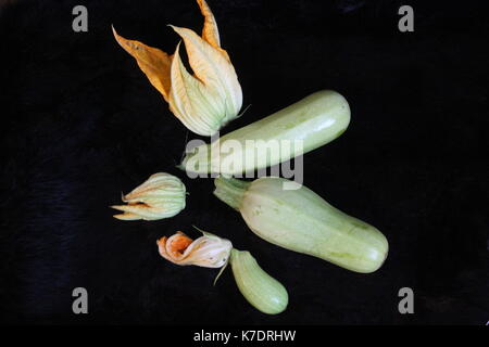 Giovane poco colore verde chiaro le zucchine decorate con fiori di preparare per il pranzo Foto Stock