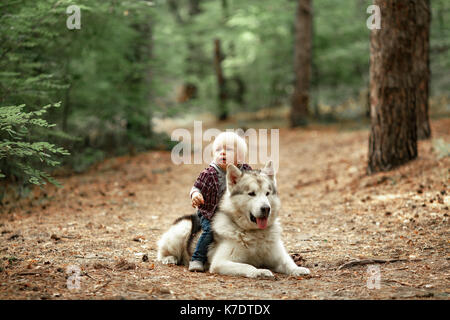 Little Boy si siede a cavallo Malamute Cane sulla passeggiata nella foresta. cane giace sulla strada forestale. Foto Stock