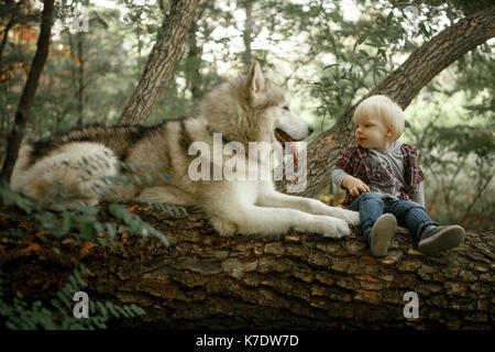 Little Boy siede su caduto tronco di albero nella foresta accanto a giacente malamute cane. Foto Stock