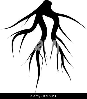 Albero radici sotterranee Vector Set. Illustrazione isolato Immagine e ...