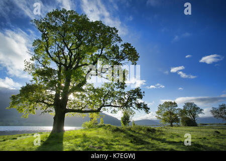 Una serata di giugno al lago Buttermere, Cumbria, Regno Unito Foto Stock