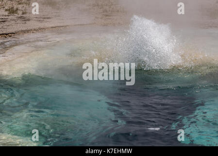 Il gorgogliamento di acqua in hot springs a Yellowstone Foto Stock