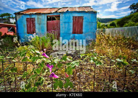 Un vecchio capannone di stagno in Ketelios in Kefalonia,Grecia Foto Stock