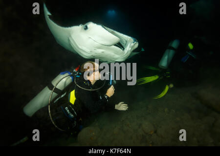 Sommozzatore passa in estremamente stretta sotto il ventre di un gigante di manta ray Foto Stock