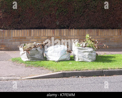 Close up di tre sacchi di verde rifiuti riciclabili al di fuori di casa marciapiede; Inghilterra; Regno Unito Foto Stock