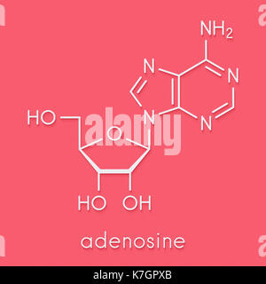 L'adenosina (ADO) nucleoside di purina molecola. Componente importante di ATP, ADP, camp e rna. utilizzato anche come farmaco. formula scheletrico. Foto Stock