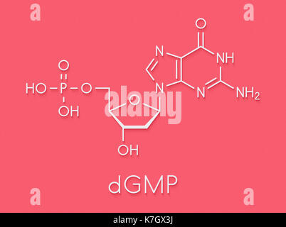 Deossiguanosina monofosfato (dgmp) Sequenza nucleotidica molecola di DNA building block. formula scheletrico. Foto Stock