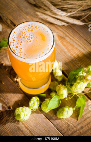 Vista dall'alto su una pinta di birra con gli ingredienti per la birra fatta in casa. Foto Stock