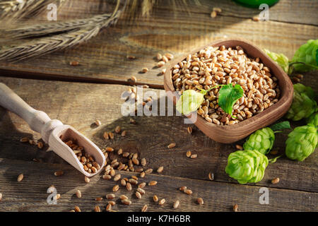 Gli ingredienti per la birra fresca posa su tavolato in legno. Foto Stock