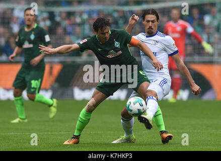 Brema Thomas Delaney (l) e schalke's benjamin stambouli si contendono la palla durante la Bundesliga tedesca partita di calcio tra werder brema e FC Schalke 04 nel weserstadion di Brema, Germania, 16 settembre 2017. (Embargo condizioni - Attenzione: grazie alle linee guida di accreditamento, il dfl consente solo la pubblicazione e utilizzazione di fino a 15 immagini per corrispondenza su internet e nei contenuti multimediali in linea durante la partita.) Foto: carmen jaspersen/dpa Foto Stock