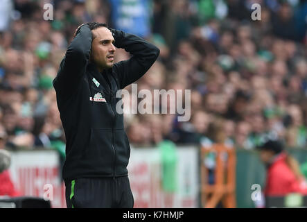 Brema allenatore alexander nouri gesti al margine durante la Bundesliga tedesca partita di calcio tra werder brema e FC Schalke 04 nel weserstadion di Brema, Germania, 16 settembre 2017. (Embargo condizioni - Attenzione: grazie alle linee guida di accreditamento, il dfl consente solo la pubblicazione e utilizzazione di fino a 15 immagini per corrispondenza su internet e nei contenuti multimediali in linea durante la partita.) Foto: carmen jaspersen/dpa Foto Stock