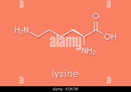 Lisina (l-lisina, lys, k) aminoacido molecola di formula scheletrico. Foto Stock