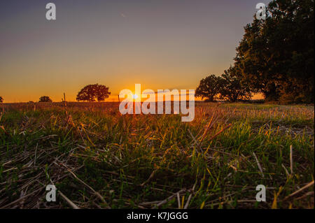 Un tramonto meraviglioso sui campi, Kleinbettingen, Lussemburgo Foto Stock