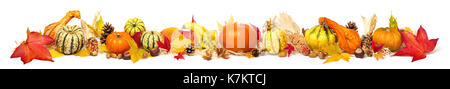 Colori d'autunno decorazione con foglie, zucche e più, isolato e extra wide format come banner o il bordo Foto Stock