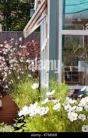 I giardinieri di paradiso con splendidi fiori e piante incandescente in vasi in prossimità di un potting shed Foto Stock