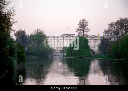 Una vista di Buckingham palace e il Queen Victoria Memorial da St James park Lake nelle prime ore del mattino, Londra, Inghilterra Foto Stock