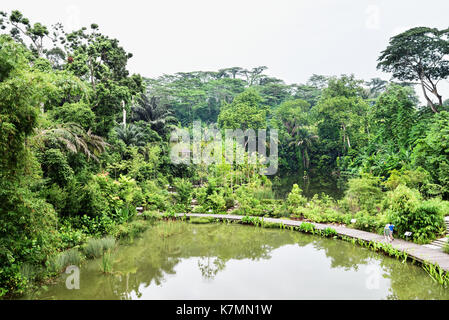 Singapore Botanic Gardens zone umide sezione. le nuove sezioni con la comoda di passerelle e ponti sono popolari con i visitatori. Foto Stock
