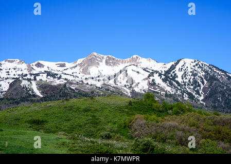 Montagne Wasatch dal lato est Foto Stock