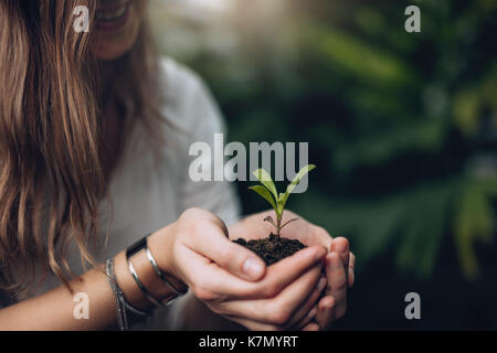 Immagine ritagliata della donna azienda piantina. Impianto di piccole dimensioni con terreno in mani a tazza di una mano femminile Foto Stock