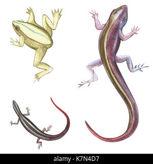 Rana e lucertole. set di disegnato a mano illustrazione ad acquerello del tema di palude. elemento per la progettazione di inviti, poster, tessuti e altri oggetti Foto Stock