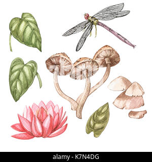 Set di disegnati a mano ad acquerello illustrazione botanica di palude tema. elemento per la progettazione di inviti, poster, tessuti e altri oggetti. poiso Foto Stock