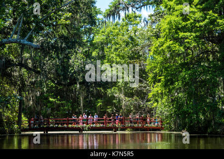 Charleston South Carolina, Magnolia Plantation & Gardens, antebellum, Cypress Lake, bridge, SC170514208 Foto Stock