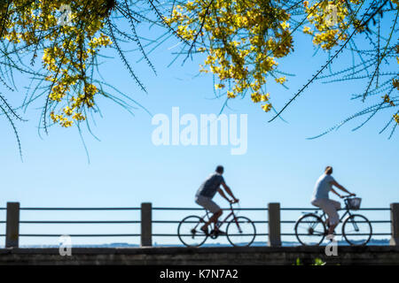 Charleston South Carolina, lungomare, East Battery, lungomare, bicicletta, SC170516019 Foto Stock