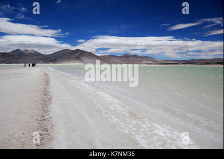 Salar de Aguas Calientes, aka come Salar de talari, Cile Foto Stock