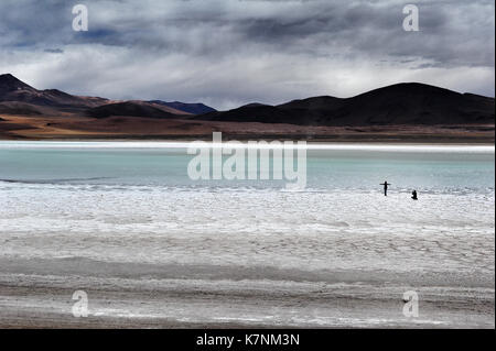 Due turisti per scattare delle foto al Salar de Aguas Calientes, aka come Salar de talari, Cile Foto Stock