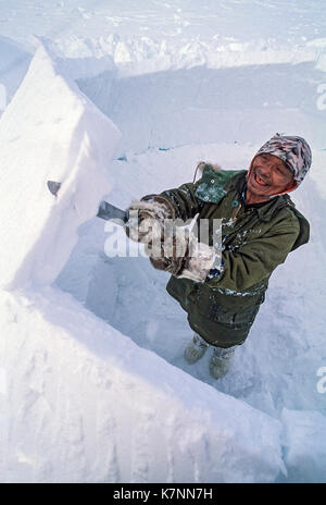 Inuit uomo anziano, metà 60s, vestito in moderno abbigliamento invernale, taglia i blocchi di ghiaccio con coltello e rivestimenti durante la costruzione tradizionale di igloo. Foto Stock