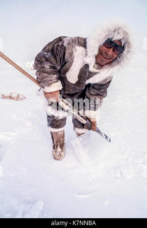 Inuit uomo anziano, metà 60s, vestito di Caribou Coffee Company tradizionale abbigliamento di pelle, pone con lo strumento che egli utilizza per il taglio di blocchi di ghiaccio per costruire igloo. Foto Stock