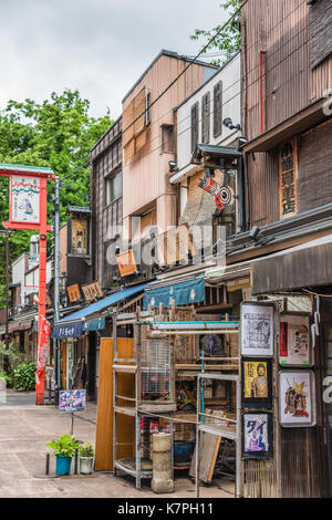 Antica via dello shopping dell'era Edo Dempoin dori con negozi tradizionali ad Asakusa, Tokyo, Giappone Foto Stock