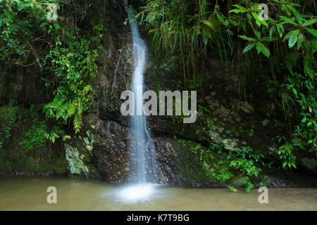 Una piccola cascata Foto Stock